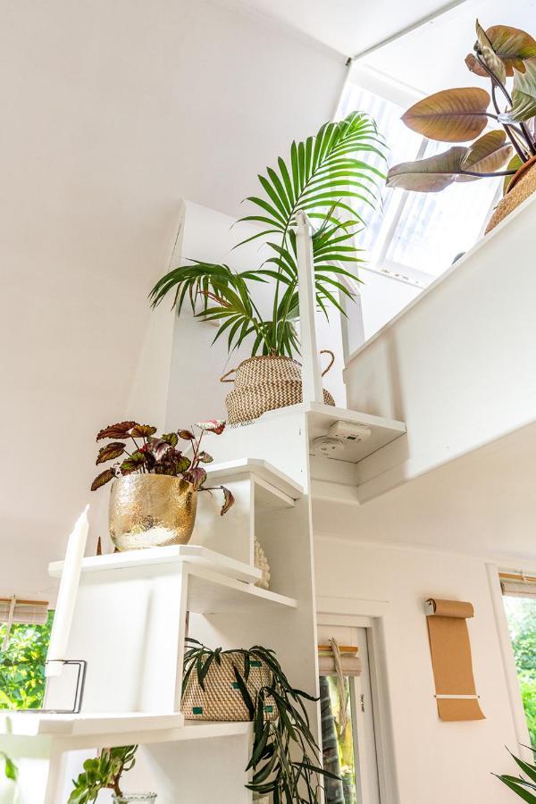 Boho Hill Waiheke Island Villa Palm Beach Luaran gambar