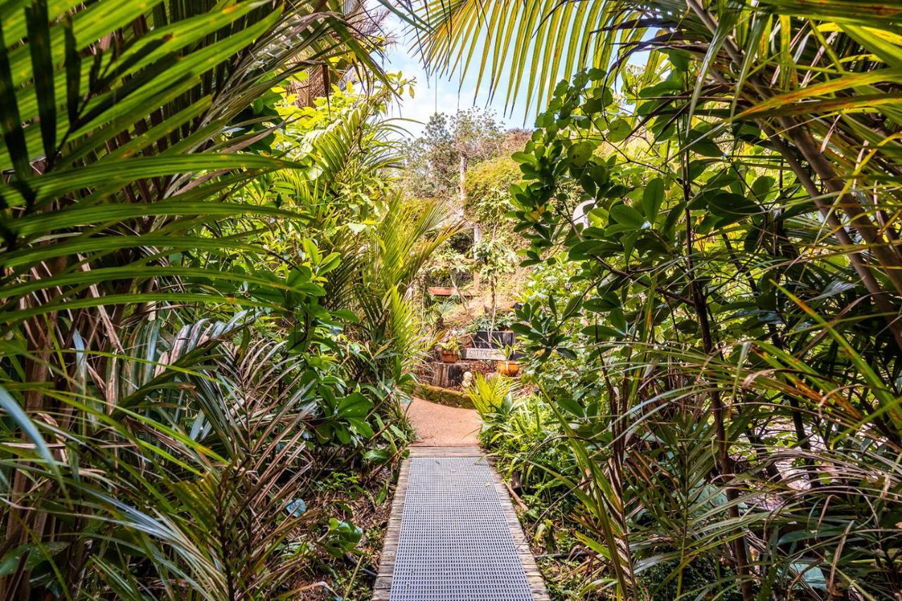 Boho Hill Waiheke Island Villa Palm Beach Luaran gambar