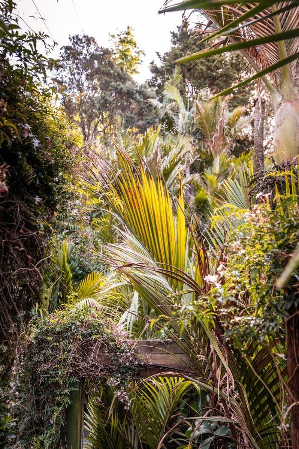 Boho Hill Waiheke Island Villa Palm Beach Luaran gambar