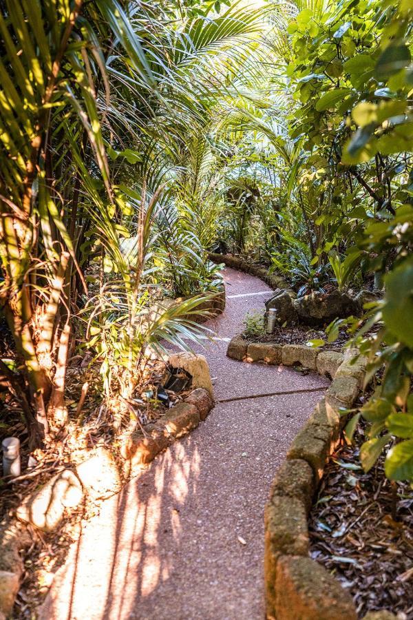 Boho Hill Waiheke Island Villa Palm Beach Luaran gambar