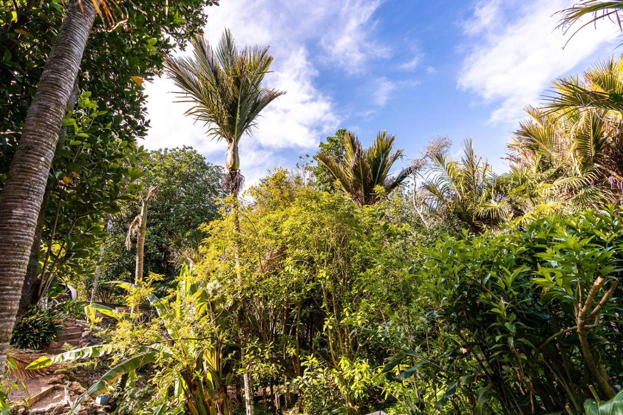 Boho Hill Waiheke Island Villa Palm Beach Luaran gambar